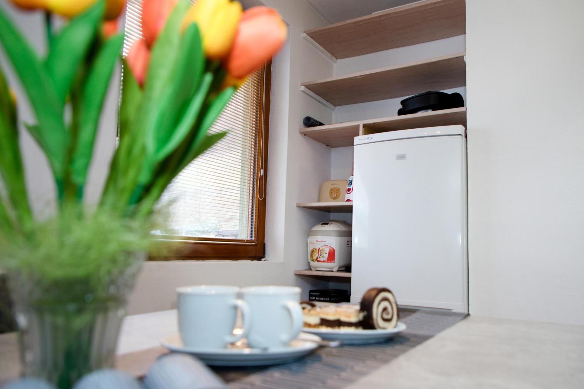 ברזנו Apartman Ivka מראה חיצוני תמונה